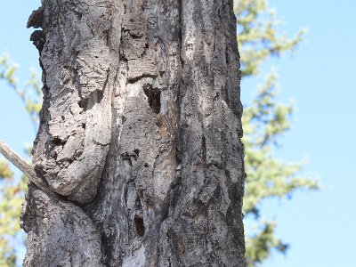 Hudson Hope Sept. 03 12